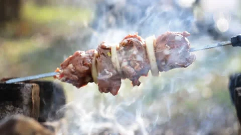 Picnic 014 Stock Footage 22586796