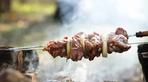 Picnic 015 Vídeos de archivo 22586787