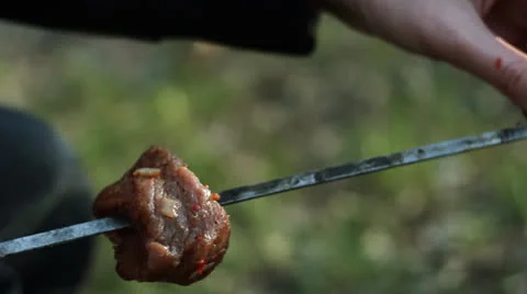 Picnic 019 Stock Footage 22586788