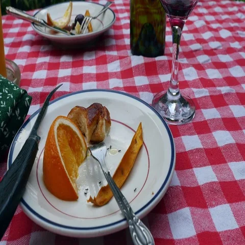 Picnic Ants Stock Footage 69587390