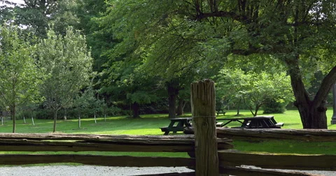 Picnic area. 4K+HD Stock Footage 41123411