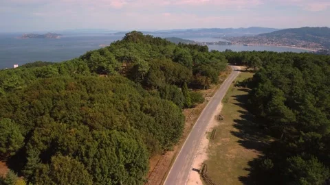 Picnic area and forest from a drone Stock Footage 211143692