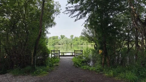 Picnic Area and Forest Path at Grantstown Lough County Laois Ireland Stockbeeldmateriaal 336953361