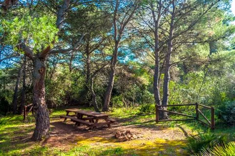 Picnic area inside the forest Stock Photos
