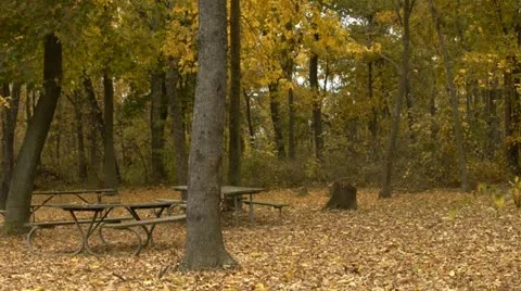 Picnic area in park 動画素材 12420441