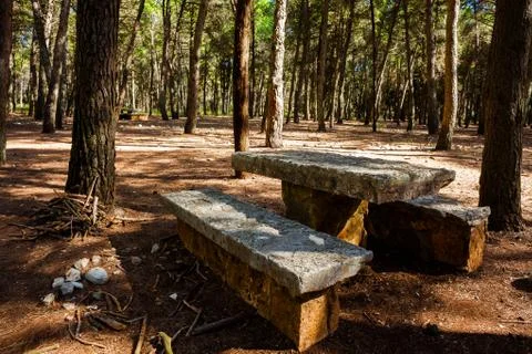 Picnic Area Stock Photos