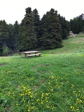 Picnic area Stock Photos