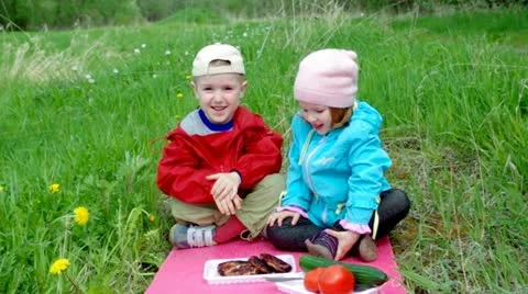 Picnic with  barbecue Stock Footage 11212876