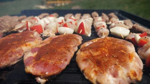 Picnic barbeque grill Stock Footage 114228339