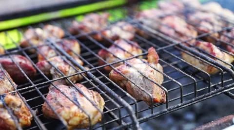 Picnic with barbeque in summer day Stock Footage 47072948