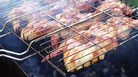 Picnic with barbeque in summer day Stock-Footage 55017673