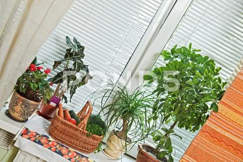 Picnic basket and flowerpots on window-sill Stock Photos