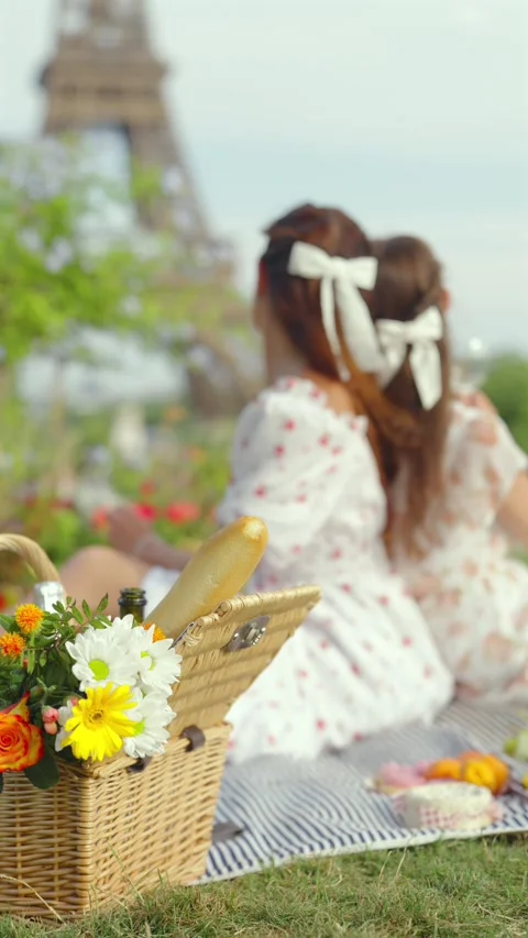 Picnic Basket and Friends by the Eiffel Tower Video stock 344577662