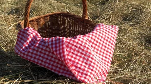 Picnic basket and red gingham blanket Stock Footage 158089142