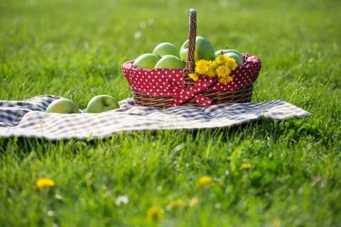 Picnic basket Stock Photos