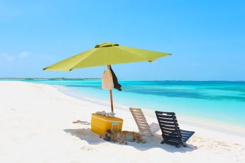 Picnic on the beach Stock Photos