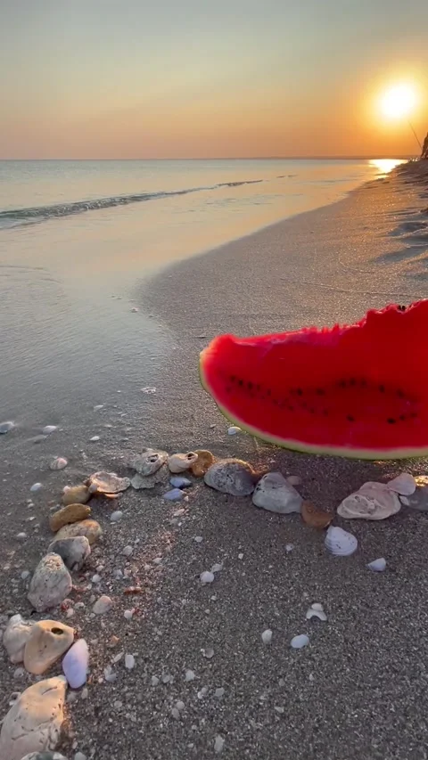 Picnic on the beach at sunset Stock Footage 166954816
