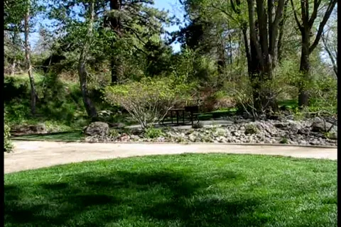 Picnic Bench Zoom Видео 420521