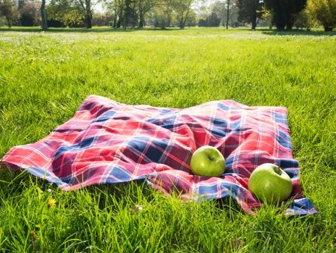 Picnic blanket Stock Photos