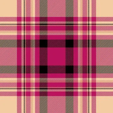 Picnic blanket vector plaid fabric, drapery seamless tartan check. Desert t.. Stockillustratie
