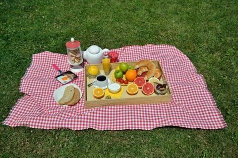 Picnic branch Stock Photos