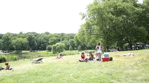Picnic at Central Park Stock Footage 48335356