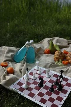 Picnic chess 1 Stock Photos