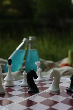 Picnic chess 2 Stock Photos