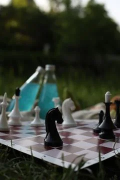 Picnic chess 4 Stock Photos