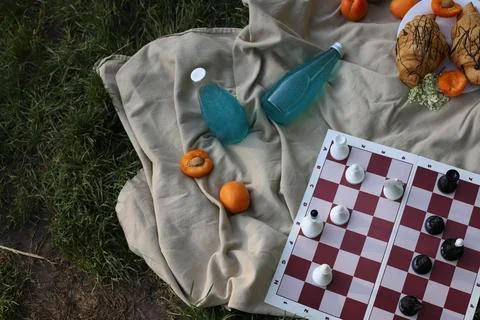 Picnic chess Stock Photos