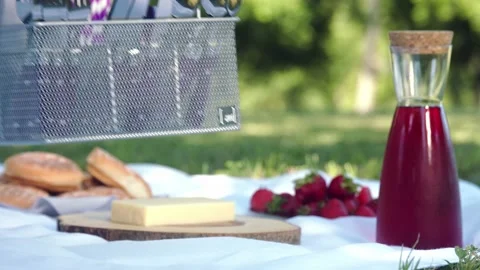 Picnic close-up Stock Footage 224175139