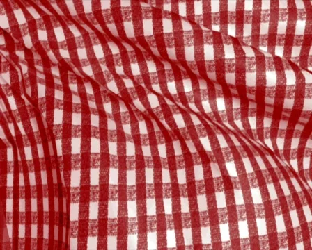 Picnic cloth p Stock Footage 607631