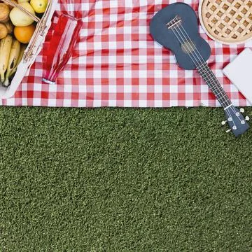 Picnic composition with copyspace . High quality and resolution beautiful photo Stock Photos