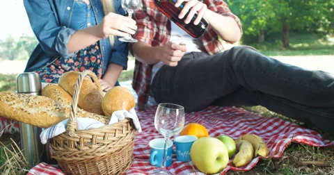 Picnic concept with vegetarian couple in park outdoor Stock Footage 59463928