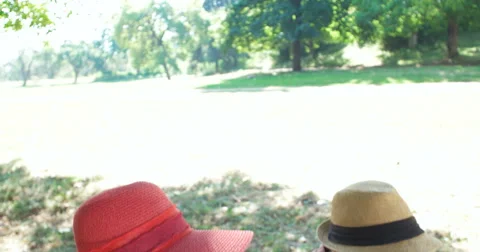 Picnic concept with vegetarian couple in park outdoor Video stock 59585734