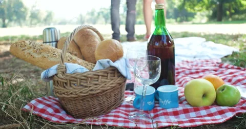 Picnic concept with vegetarian couple in park outdoor Video stock 59591753