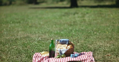 Picnic concept with vegetarian couple in park outdoor 스톡 동영상 59591811