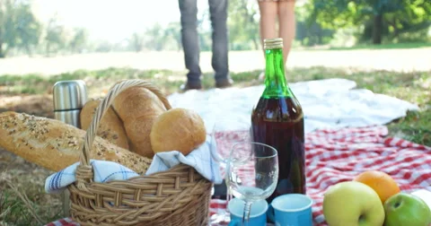 Picnic concept with vegetarian couple in park outdoor Video stock 59657616