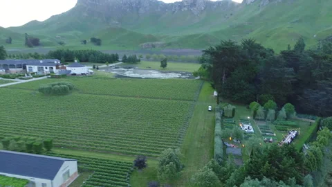 Picnic at craggy range drone pull back Stock Footage 164346524