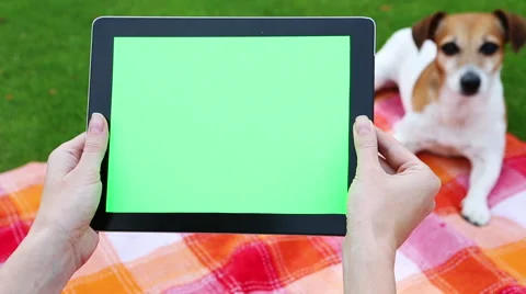 Picnic with dog Vídeo Stock 51429100