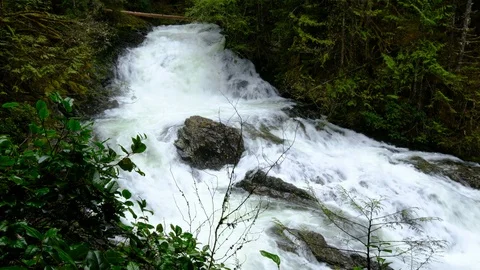 Picnic Falls, Wallace Falls State Park, Washington Stock Footage 89849725