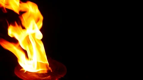 Picnic fire flames Stock Footage 83736790