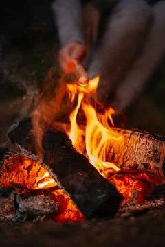 Picnic by the fire in the forest Foto stock