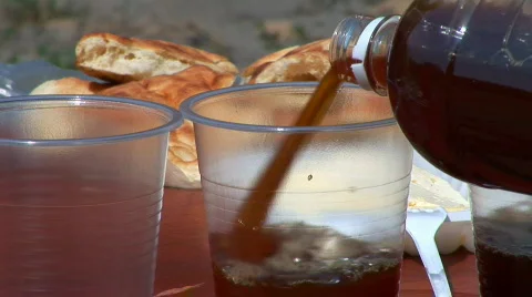 Picnic Stock Footage 544662