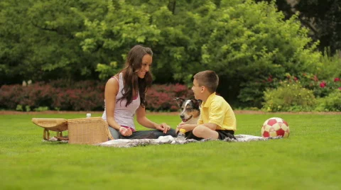 Picnic 動画素材 769495