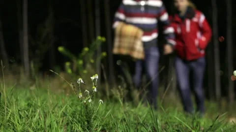 Picnic Stock Footage 12293092