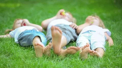 Picnic Stock Footage 20486769