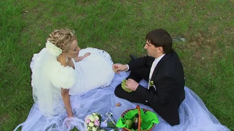 On A Picnic Stock Footage 52485921