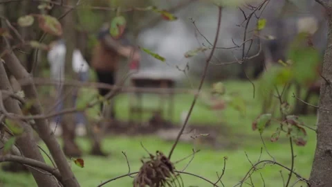 Picnic in the forest. Hidden camera Stock Footage 172577255