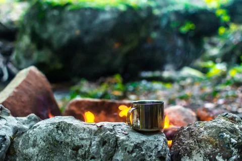 Picnic in the forest Stock Photos